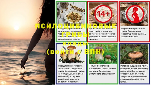 индика Беломорск