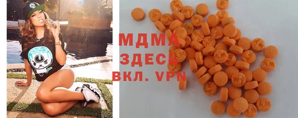 индика Беломорск