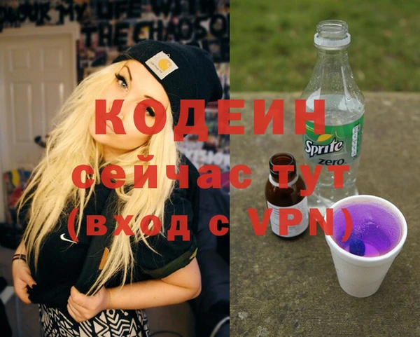 индика Беломорск
