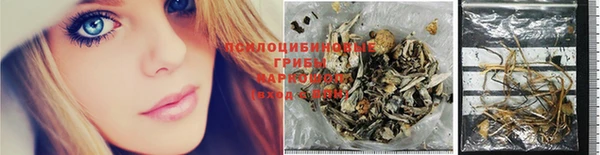 индика Беломорск