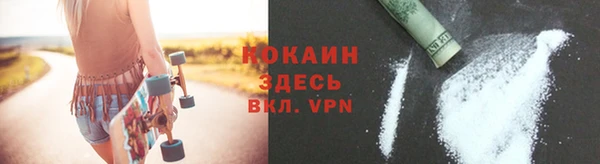твердый Белокуриха