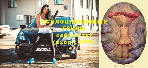 твердый Белокуриха