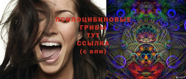 твердый Белокуриха