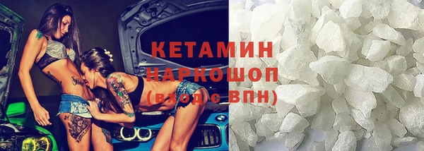 индика Беломорск