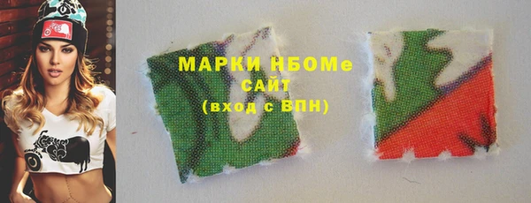 индика Беломорск